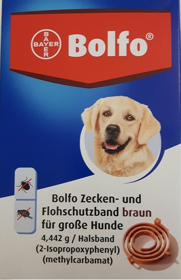 Picture of Bayer Bolfo collar for dogs