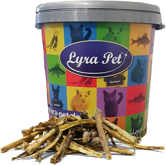 Picture of Lyra Pet 5 kg Oxziemer Sections Ox Beef Beef Skin Chewing Fun Treat Chew Item Dog Food in 30 L Barrel