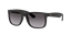 תמונה של משקפי שמש רייבן גסטין RB4165 601/8G שחורות עם עדשה אפורה