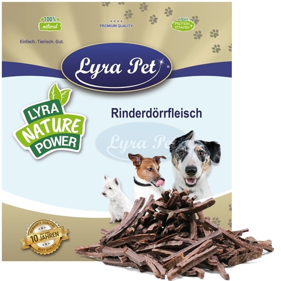 Изображение Lyra Pet 5 kg dry beef, soft